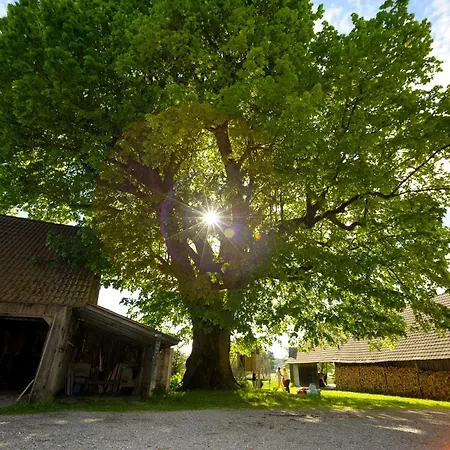 Hof Zuernen - * Wolfegg